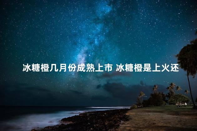 冰糖橙几月份成熟上市 冰糖橙是上火还是降火